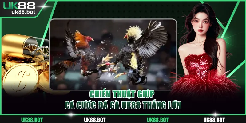 Chiến thuật giúp cá cược Đá Gà UK88 thắng lớn